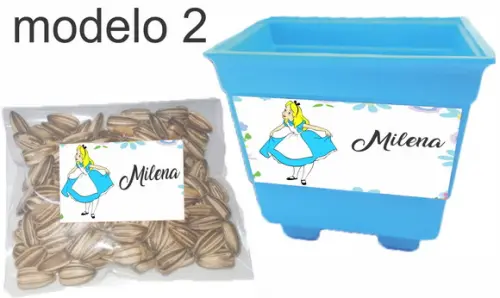 Kit Vaso e Semente-alice