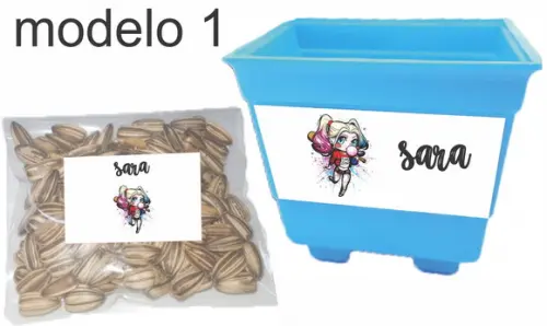 Kit Vaso e Semente-arlequina