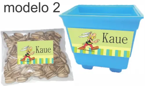 Kit Vaso e Semente-asterix