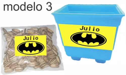 Kit Vaso e Semente-batman