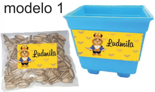 Kit Vaso e Semente-bela e a Fera