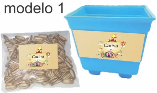 Kit Vaso e Semente-circo