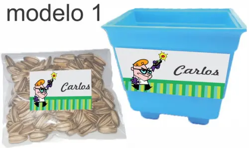 Kit Vaso e Semente-dexter