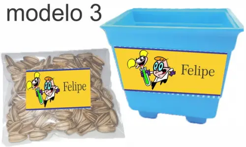 Kit Vaso e Semente-dexter