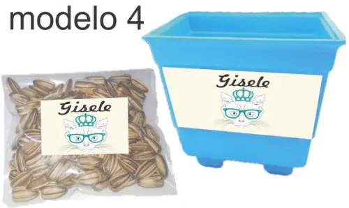 Kit Vaso e Semente-gatinho