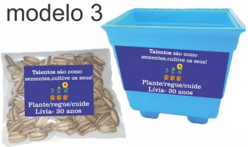 Kit Vaso e Semente-girassol