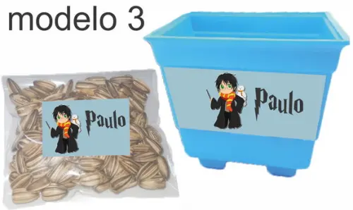 Kit Vaso e Semente-harry Potter-modelo 1