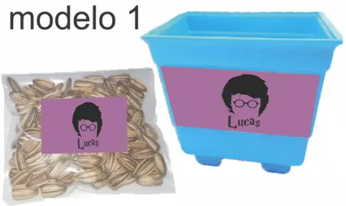 Kit Vaso e Semente-harry Potter-modelo 2