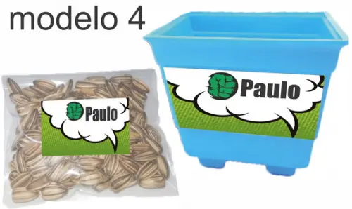 Kit Vaso e Semente-hulk