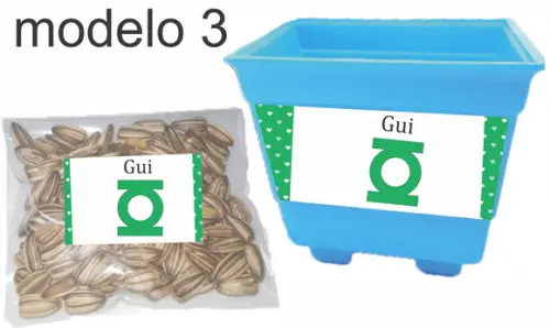Kit Vaso e Semente-lanterna Verde