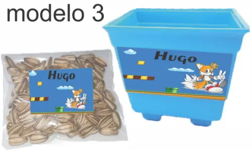 Kit Vaso e Semente-mario Bros