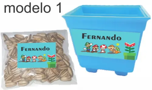 Kit Vaso e Semente-mario Bros