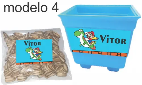Kit Vaso e Semente-mario Bros