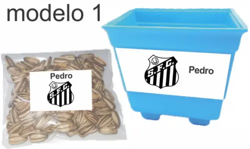 Kit Vaso e Semente-peixe