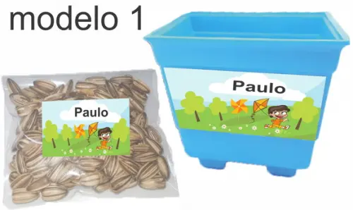 Kit Vaso e Semente-pipa e Catavento