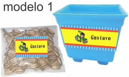 Kit Vaso e Semente-robin