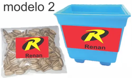 Kit Vaso e Semente-robin