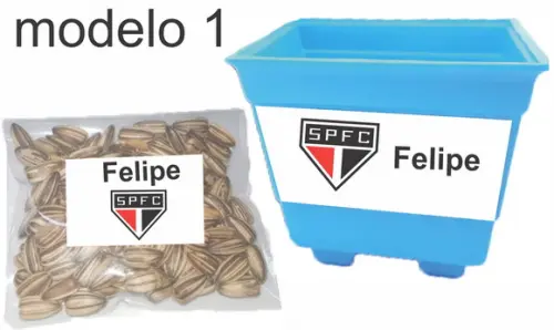 Kit Vaso e Semente-sp