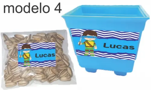 Kit Vaso e Semente-tartaruga Ninja