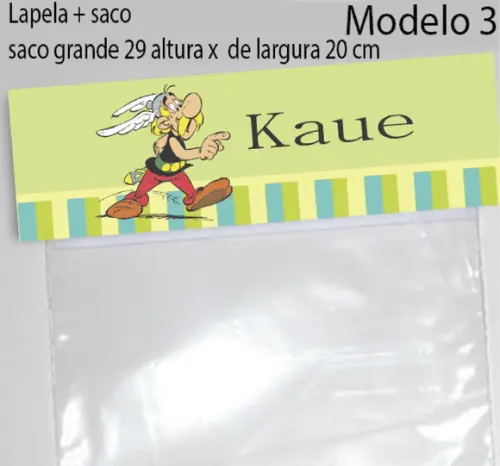 Lapela e Saco Grande-asterix