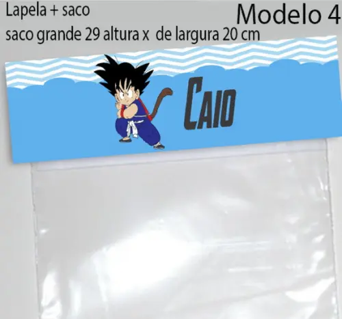 Lapela e Saco Grande-goku