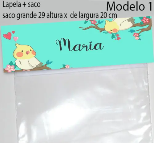 Lapela e Saco Grande-pássaros