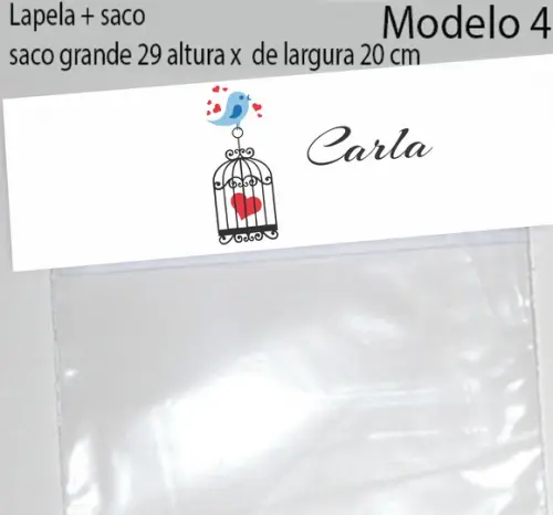 Lapela e Saco Grande-pássaros