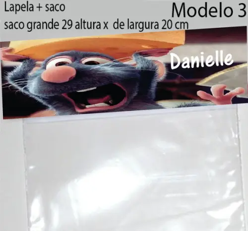 Lapela e Saco Grande-ratatouille