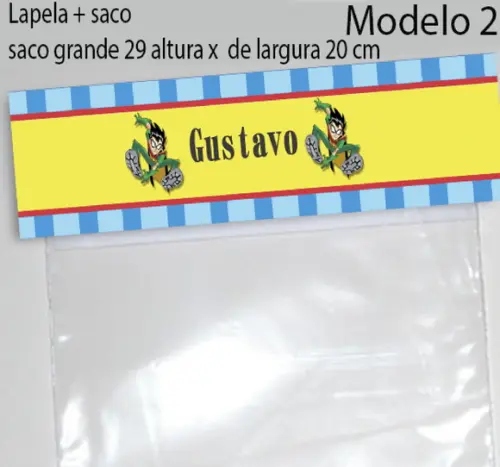 Lapela e Saco Grande-robin
