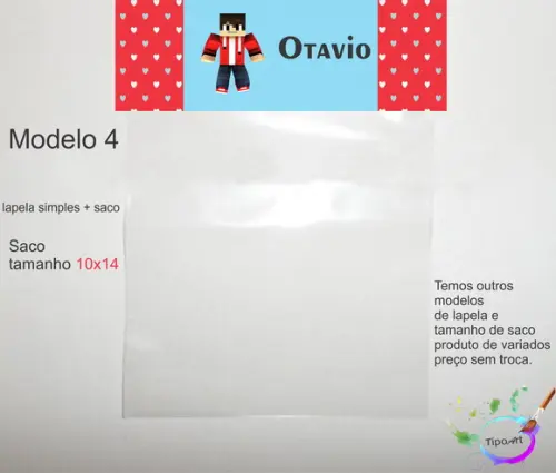 Lapela(simples) e Saco 10x14-minecraft