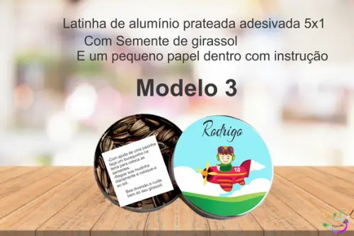 Latinha Semente Girassol-aviador