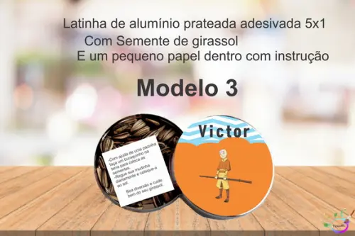 Latinha Semente Girassol-avatar Aang
