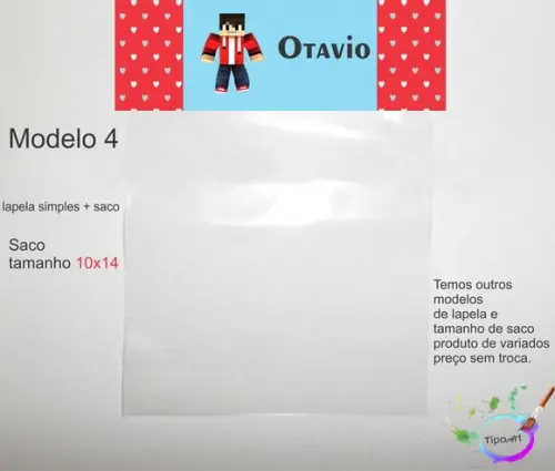 Lapela(simples) e Saco 10x14-minecraft