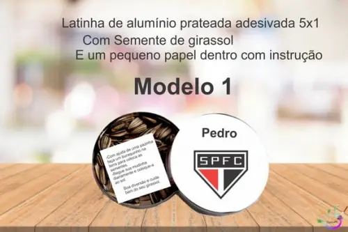 Latinha Semente Girassol-sp
