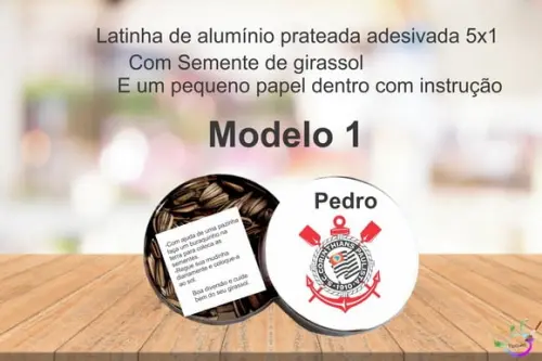 Latinha Semente Girassol-timão