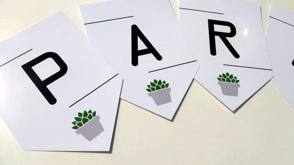 Bandeirola Suculentas