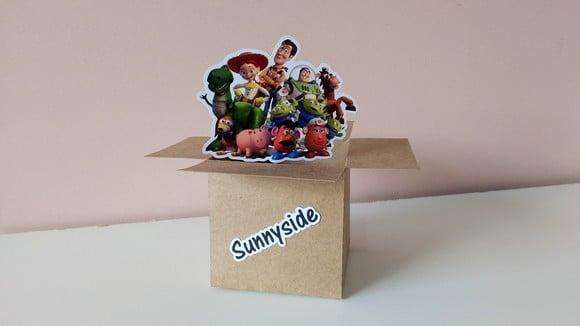 Caixa Doação (sunnyside) - Brinquedos