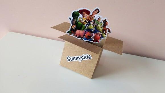 Caixa Doação (sunnyside) - Brinquedos
