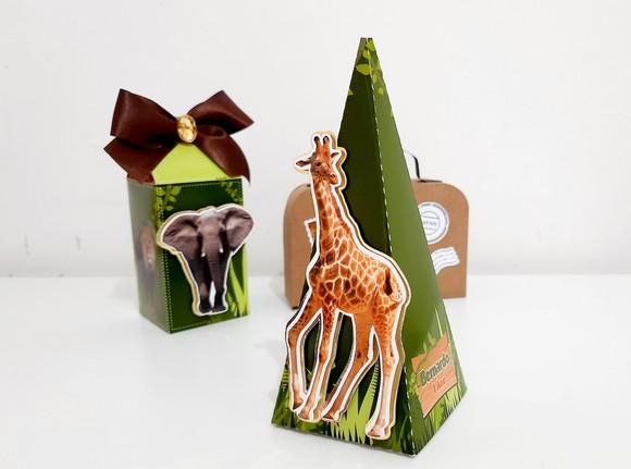 Cone Pirâmide - Safari