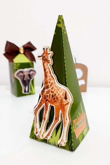 Cone Pirâmide - Safari