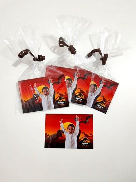 Foto com Imã - Dinossauros