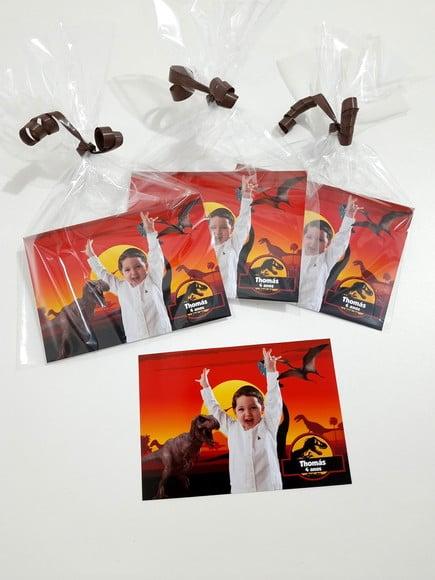 Foto com Imã - Dinossauros