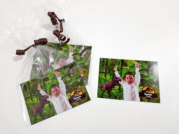 Foto com Imã - Dinossauros