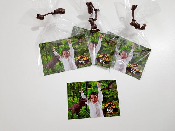 Foto com Imã - Dinossauros