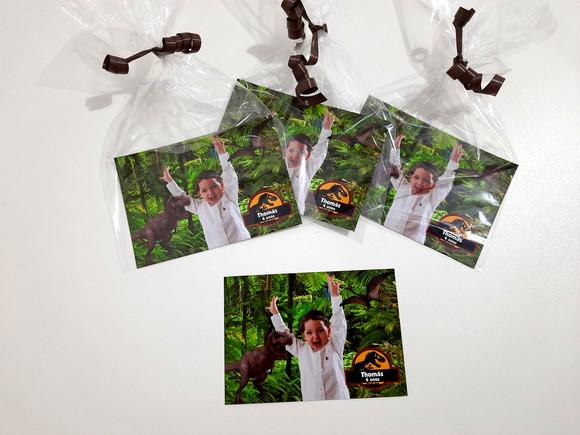 Foto com Imã - Dinossauros