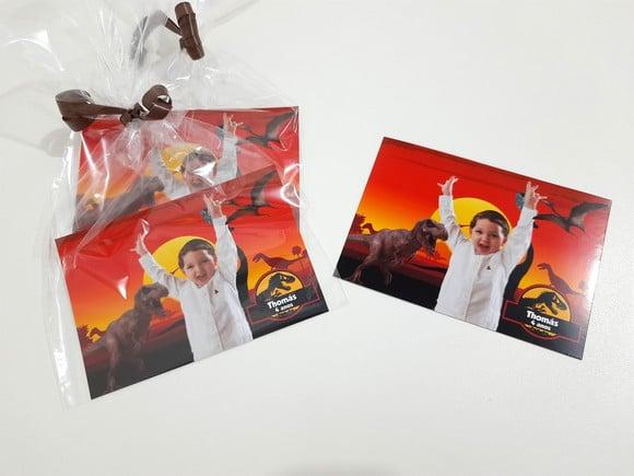 Foto com Imã - Dinossauros