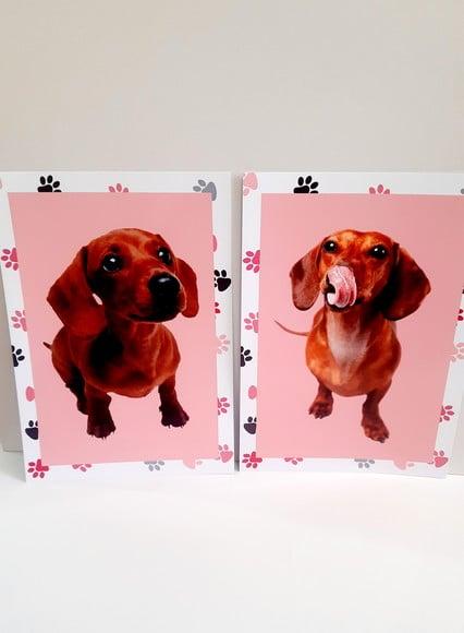 Placa Decorativa - Cachorro Salsicha