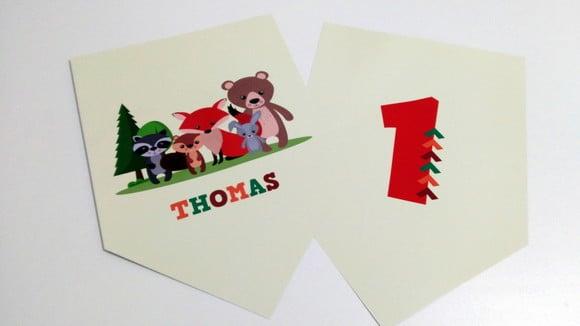 Placas Decorativas - Animais da Floresta