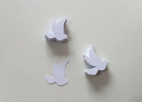 Aplique Pombinha
