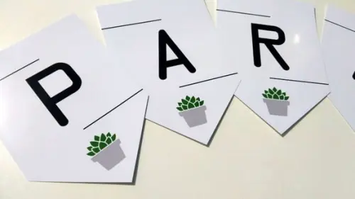 Bandeirola Suculentas